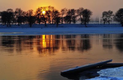 Reflection of trees in water at sunset