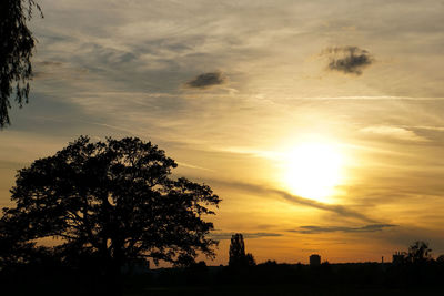 Silhouette trees against sky during sunset