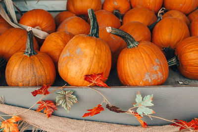 Thanksgiving and halloween holiday preparations. colorful pumpkins in baskets by store on farm. 