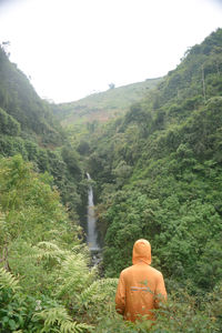 Rear view of man looking at waterfall against sky