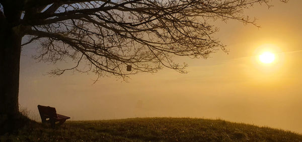 Silhouette tree on field against sky during sunset