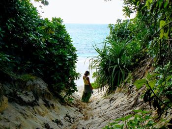 Rear view of man walking on rock by sea