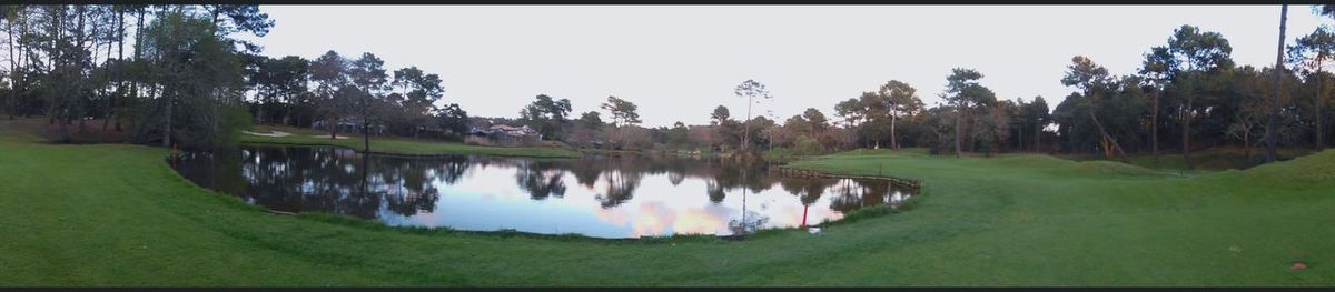 Reflection of trees in lake