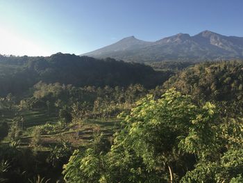 Scenic view of mountains against clear sky