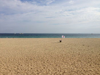 South korea flag. busan. beach. south korea.