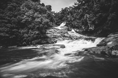 Water flowing through rocks in forest