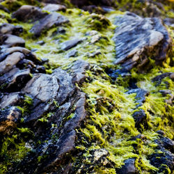 Full frame shot of rocks