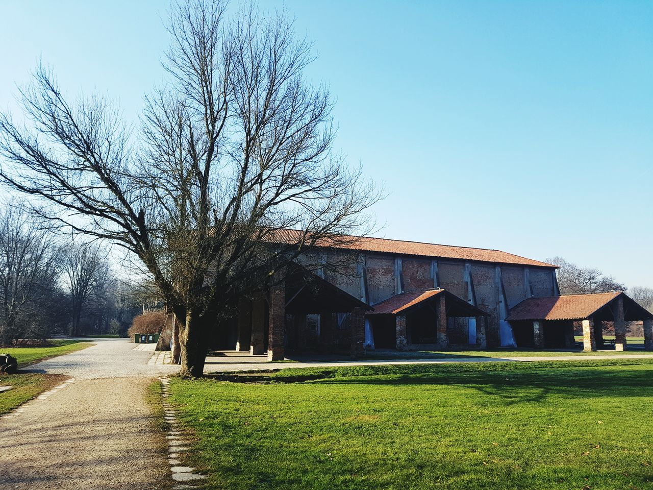 TREES IN FRONT OF BUILT STRUCTURE AGAINST SKY