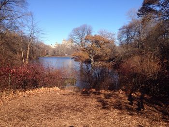 Scenic view of calm lake against clear sky