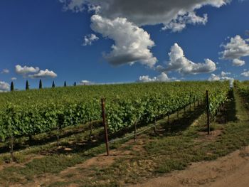 Scenic view of field against cloudy sky