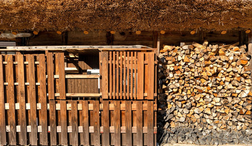 Stack of logs in forest