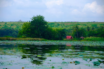 Scenic view of lake against sky