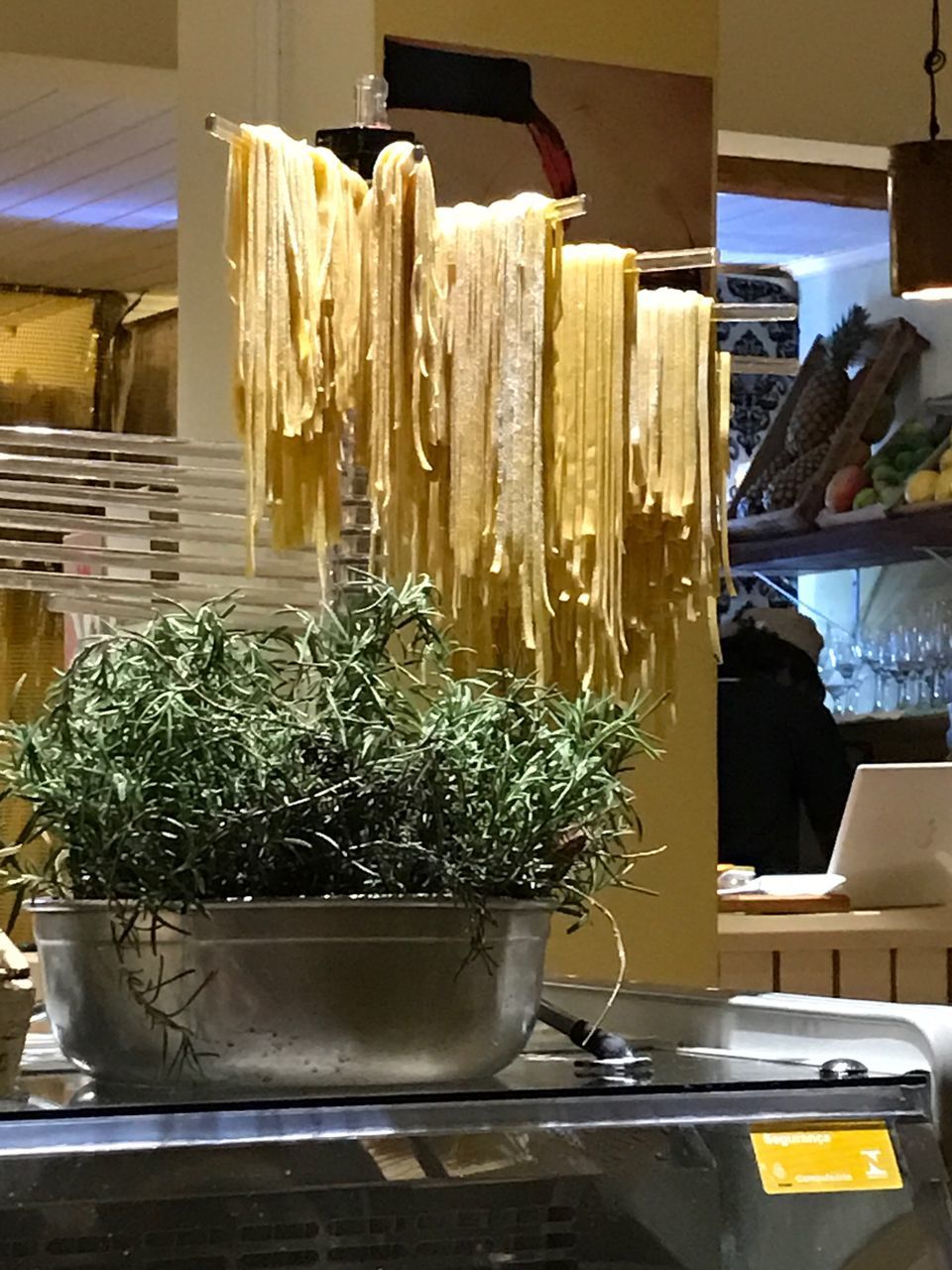 CLOSE-UP OF PLANTS IN KITCHEN