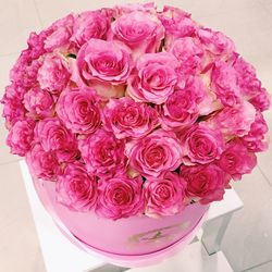 Close-up of pink roses