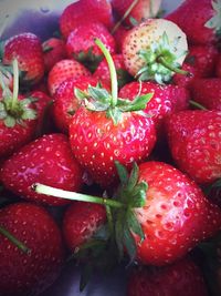 Close-up of strawberries