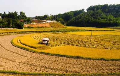 Tire tracks on agricultural field against sky