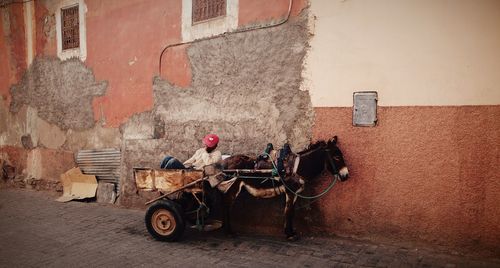 Man with donkey cart against wall