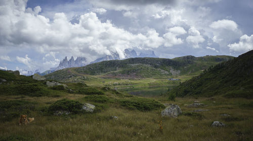 Scenic view of landscape against cloudy sky