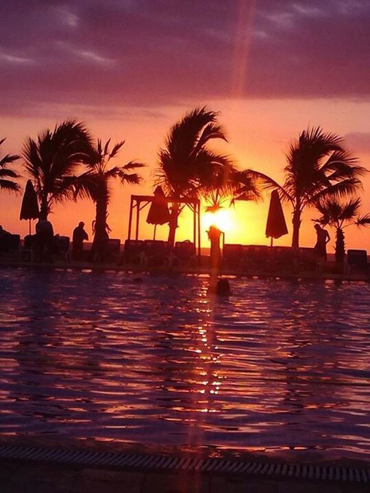 SILHOUETTE OF PALM TREES BY SWIMMING POOL