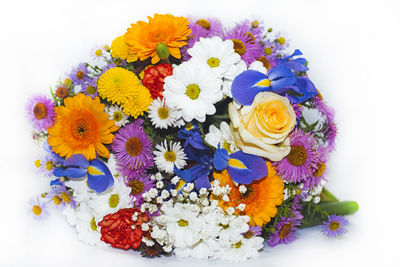 High angle view of various flowers on white background