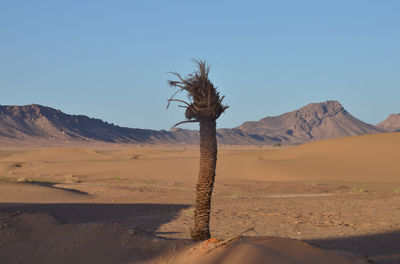 Scenic view of desert against clear sky