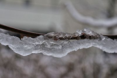 Close-up of frost on snow