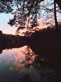 Silhouette tree by lake against sky during sunset