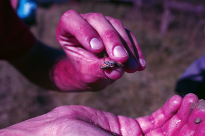 Close-up of hand holding pink flower