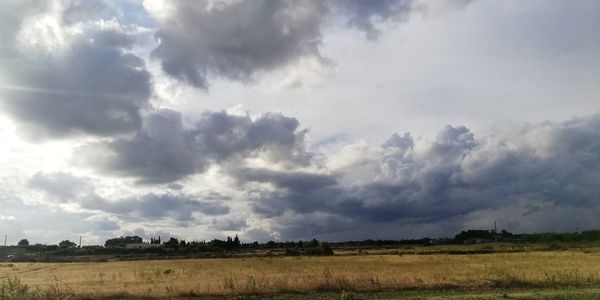 Scenic view of field against sky