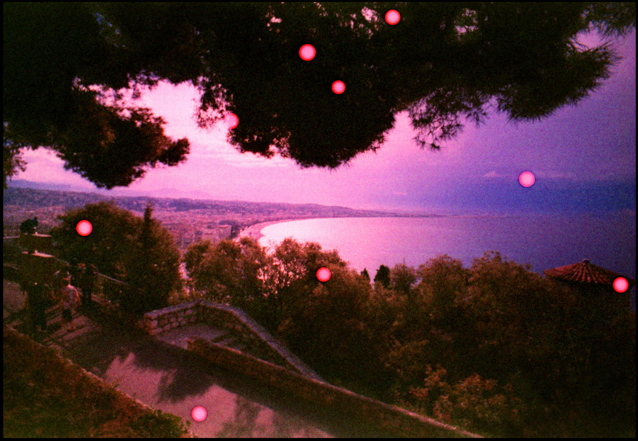 HIGH ANGLE VIEW OF TREES BY LAKE AGAINST SKY AT SUNSET