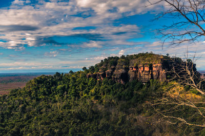 Plants growing on land against sky