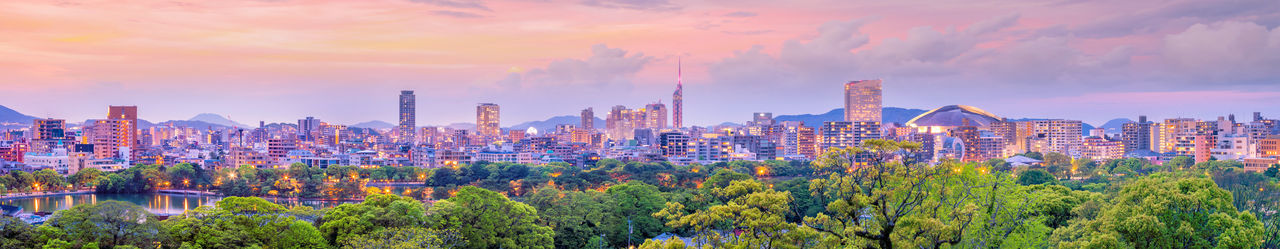 Panoramic view of trees and buildings against sky during sunset