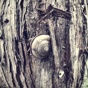 Close-up of wooden planks