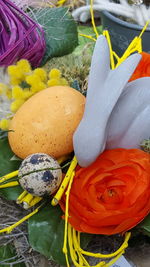 petal