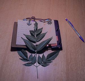 High angle view of paper on table