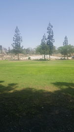 Scenic view of field against clear sky