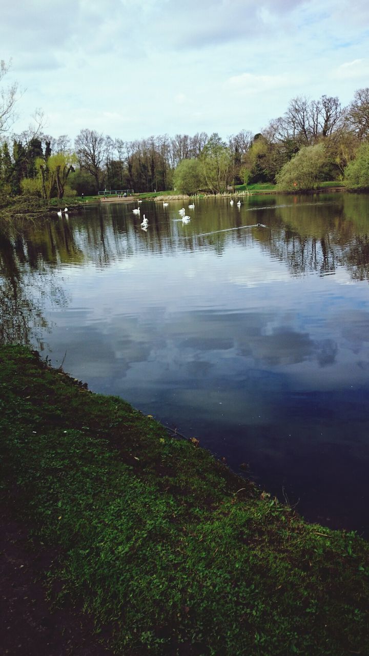 water, tree, reflection, sky, lake, tranquility, tranquil scene, grass, scenics, beauty in nature, nature, cloud - sky, river, growth, green color, cloud, day, idyllic, outdoors, non-urban scene