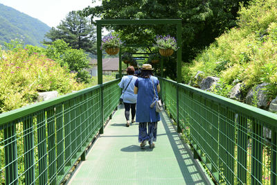 Rear view of women walking on footbridge