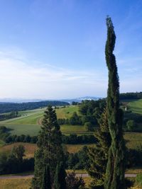 Scenic view of grassy field against sky