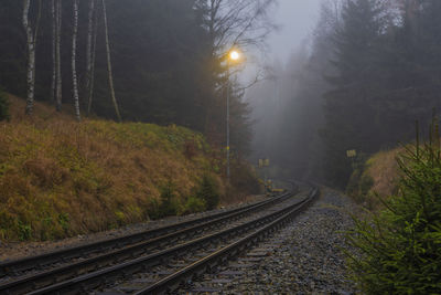 Railroad tracks amidst trees in forest