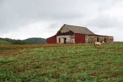 House on field against sky