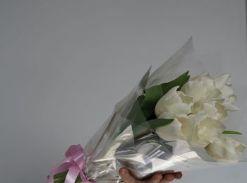 Close-up of white flower against black background