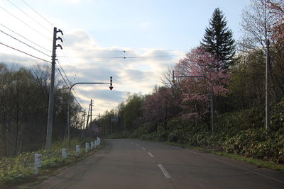 Empty road along trees and plants