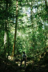 Rear view of man walking in forest