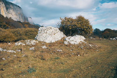 Scenic view of rocks on field against sky