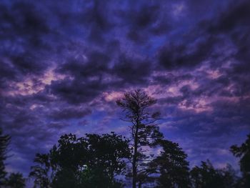 Low angle view of silhouette trees against sky at night