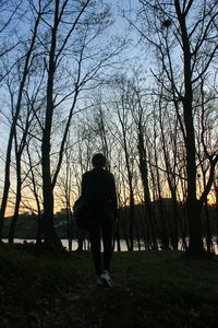 Rear view of man walking on bare trees against sky