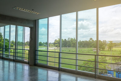 Trees seen through glass window