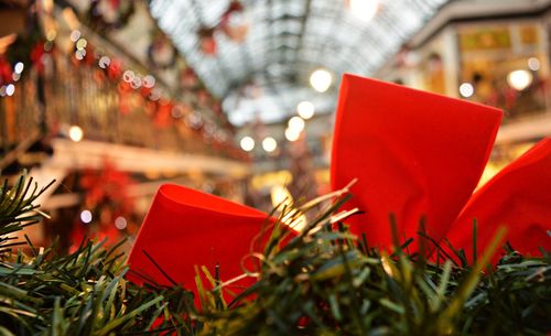 Close-up of christmas decoration