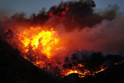 Close-up of fire against sky at night